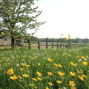 Agriturismo Cargandino Agroturismo Mezzomerico